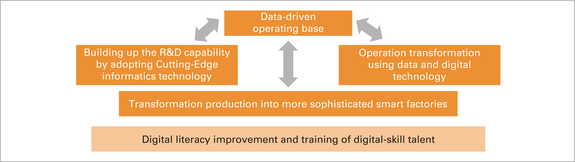 Digital literacy improvement and training of digital-skill leaders