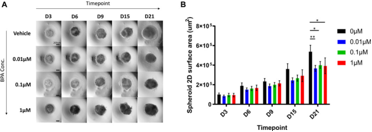 Fig.4 Spheroid size and growth curves under BPA treatment during the neural induction process