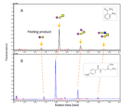 Preparation and LC-MS Analysis of Procainamide-Labeled O-Glycans Using EZGlyco<sup>®</sup> O-Glycan Prep Kit