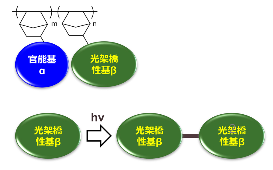 加熱フリー光硬化COP構造図